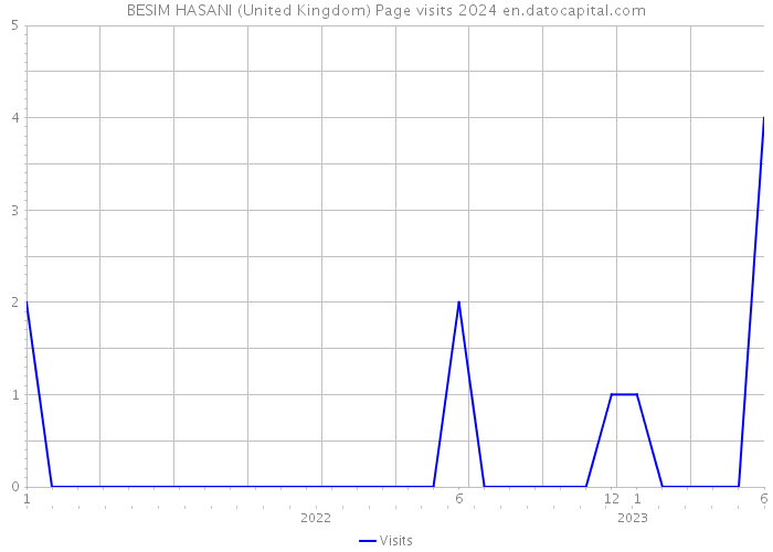 BESIM HASANI (United Kingdom) Page visits 2024 