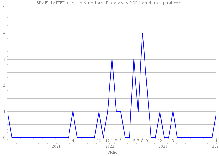 BRAE LIMITED (United Kingdom) Page visits 2024 