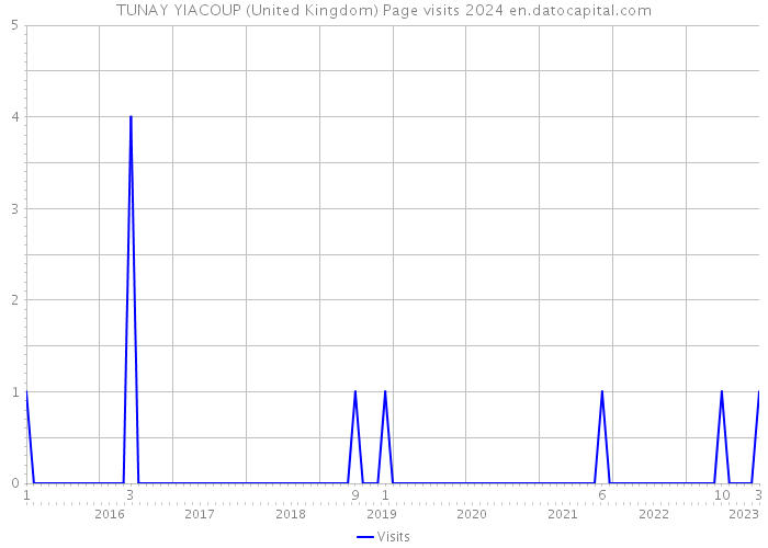 TUNAY YIACOUP (United Kingdom) Page visits 2024 