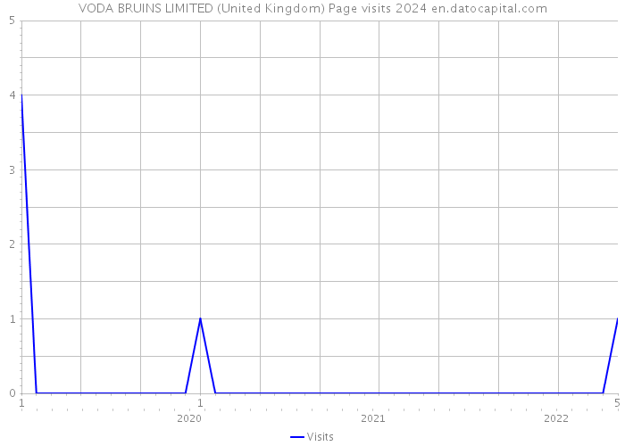 VODA BRUINS LIMITED (United Kingdom) Page visits 2024 