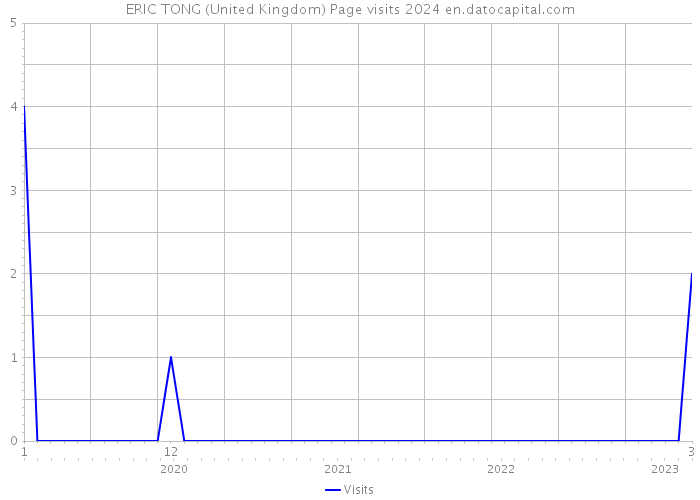 ERIC TONG (United Kingdom) Page visits 2024 