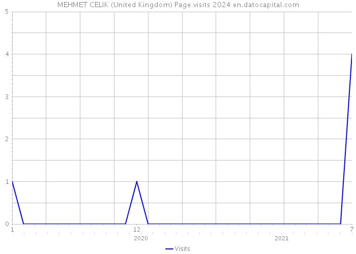 MEHMET CELIK (United Kingdom) Page visits 2024 