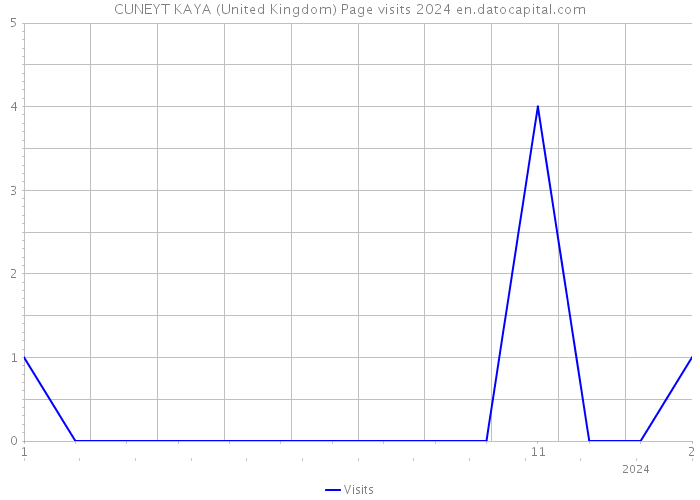 CUNEYT KAYA (United Kingdom) Page visits 2024 
