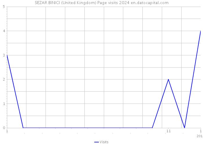 SEZAR BINICI (United Kingdom) Page visits 2024 