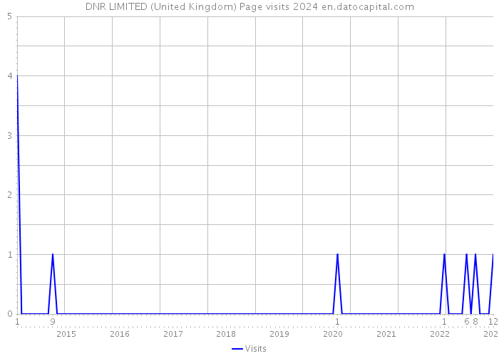 DNR LIMITED (United Kingdom) Page visits 2024 