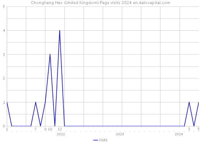 Chongliang Hao (United Kingdom) Page visits 2024 