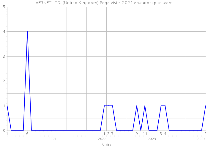 VERNET LTD. (United Kingdom) Page visits 2024 