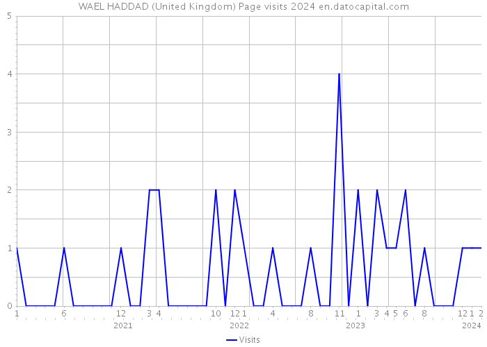 WAEL HADDAD (United Kingdom) Page visits 2024 