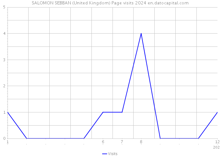 SALOMON SEBBAN (United Kingdom) Page visits 2024 