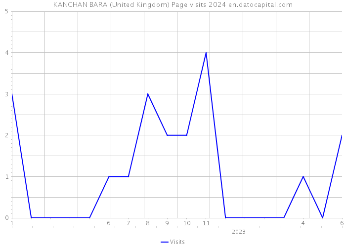 KANCHAN BARA (United Kingdom) Page visits 2024 