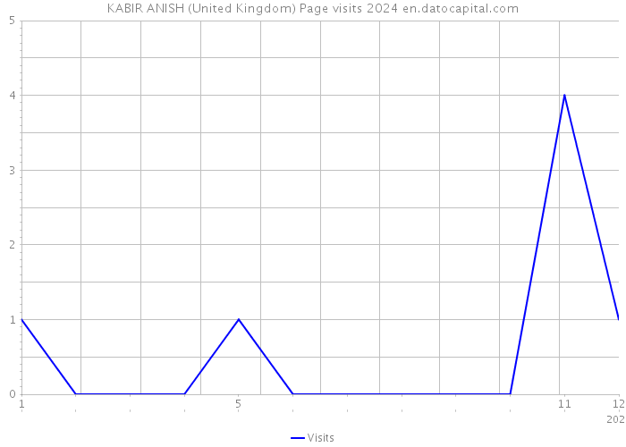 KABIR ANISH (United Kingdom) Page visits 2024 