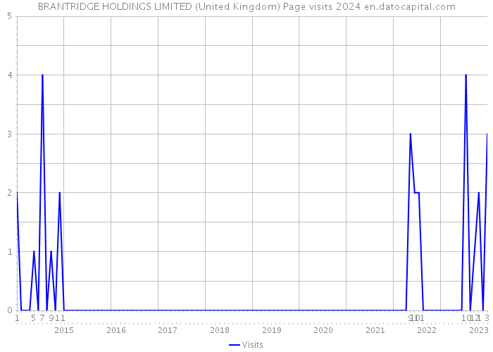 BRANTRIDGE HOLDINGS LIMITED (United Kingdom) Page visits 2024 