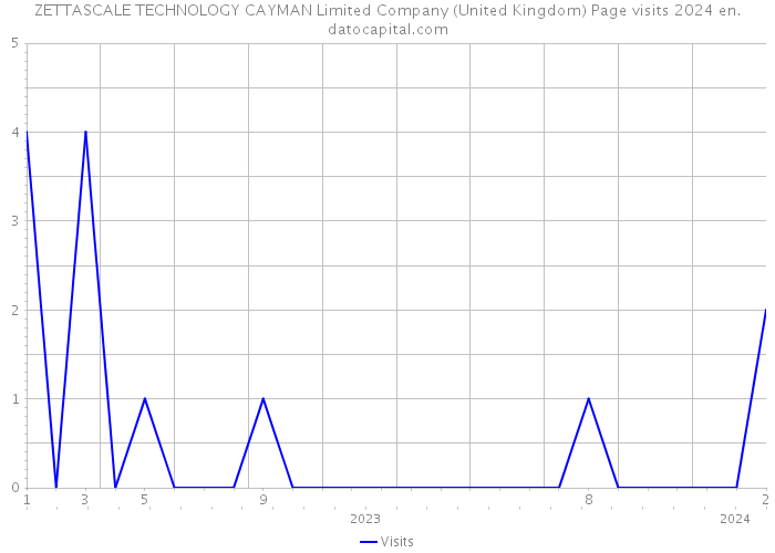 ZETTASCALE TECHNOLOGY CAYMAN Limited Company (United Kingdom) Page visits 2024 