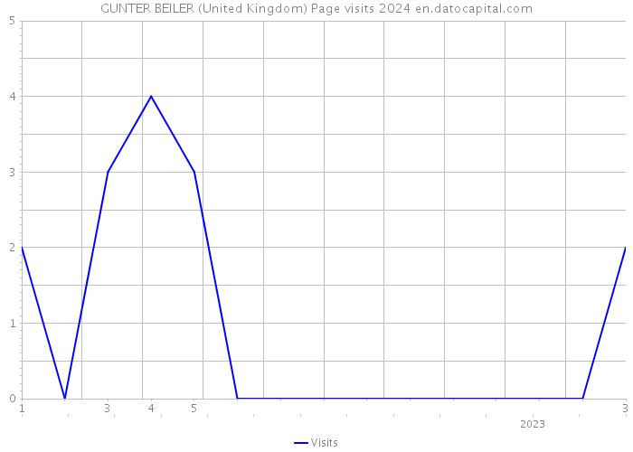 GUNTER BEILER (United Kingdom) Page visits 2024 