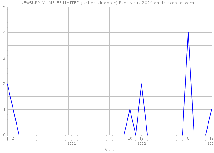 NEWBURY MUMBLES LIMITED (United Kingdom) Page visits 2024 