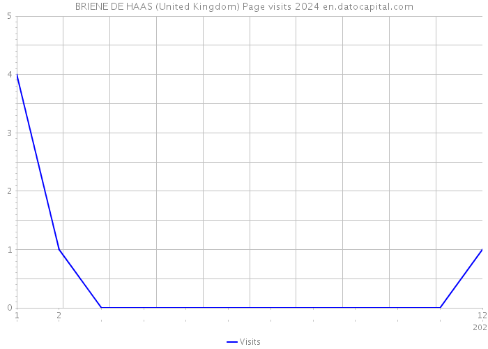 BRIENE DE HAAS (United Kingdom) Page visits 2024 