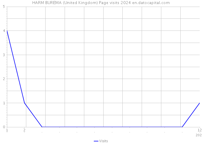 HARM BUREMA (United Kingdom) Page visits 2024 