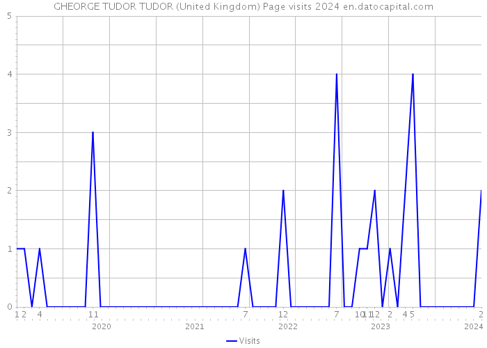 GHEORGE TUDOR TUDOR (United Kingdom) Page visits 2024 