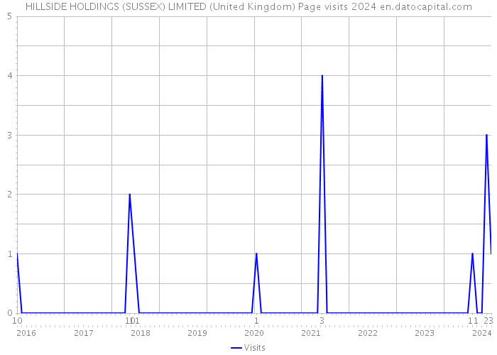 HILLSIDE HOLDINGS (SUSSEX) LIMITED (United Kingdom) Page visits 2024 