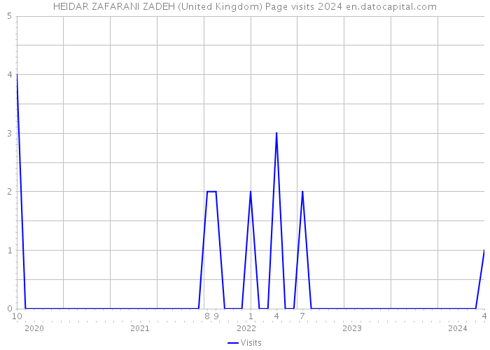 HEIDAR ZAFARANI ZADEH (United Kingdom) Page visits 2024 