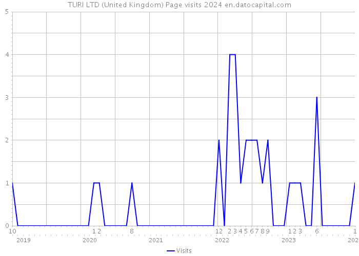 TURI LTD (United Kingdom) Page visits 2024 