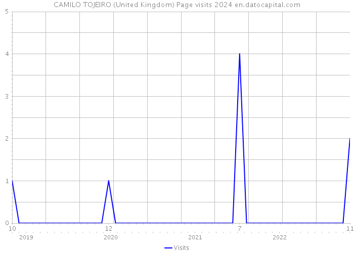 CAMILO TOJEIRO (United Kingdom) Page visits 2024 