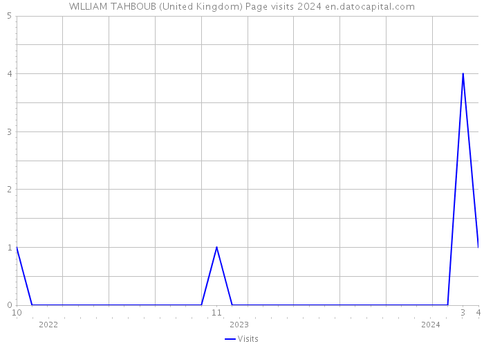 WILLIAM TAHBOUB (United Kingdom) Page visits 2024 