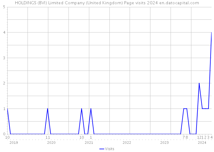 HOLDINGS (BVI) Limited Company (United Kingdom) Page visits 2024 
