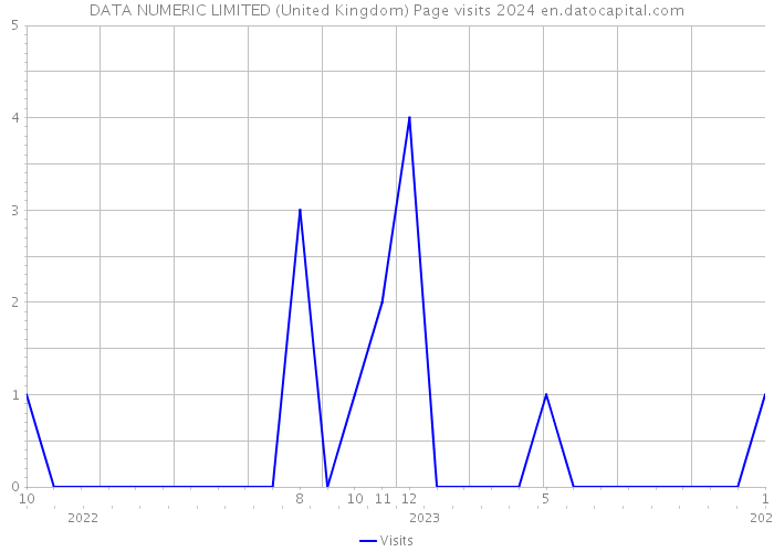 DATA NUMERIC LIMITED (United Kingdom) Page visits 2024 