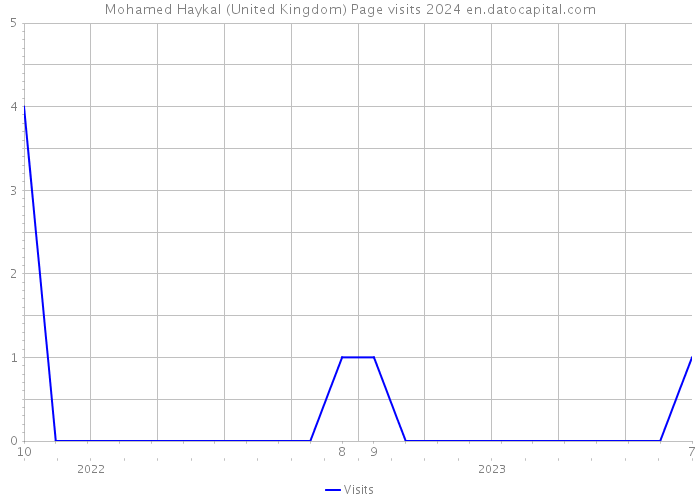 Mohamed Haykal (United Kingdom) Page visits 2024 
