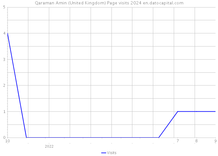 Qaraman Amin (United Kingdom) Page visits 2024 
