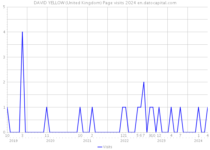 DAVID YELLOW (United Kingdom) Page visits 2024 