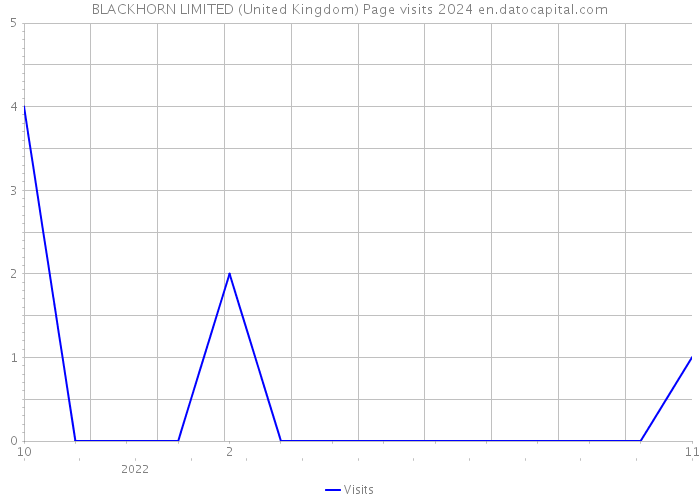 BLACKHORN LIMITED (United Kingdom) Page visits 2024 