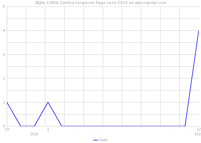 SEJAL KARIA (United Kingdom) Page visits 2024 