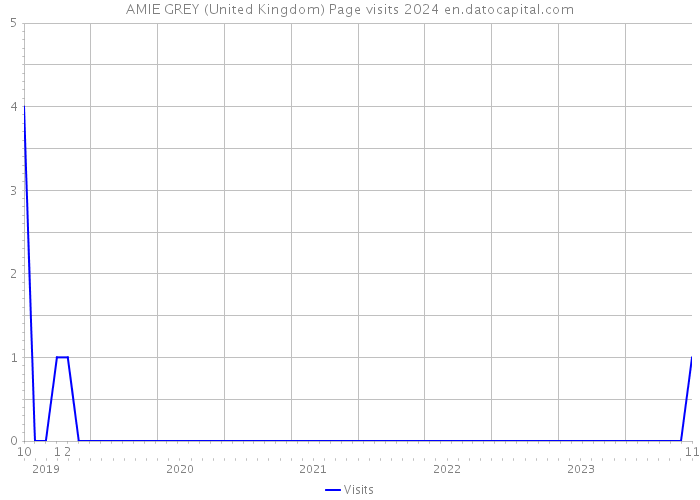 AMIE GREY (United Kingdom) Page visits 2024 