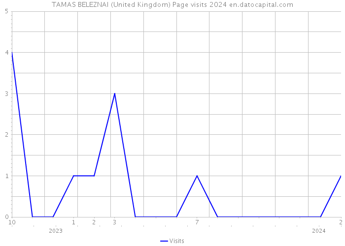 TAMAS BELEZNAI (United Kingdom) Page visits 2024 
