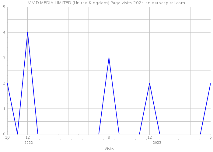 VIVID MEDIA LIMITED (United Kingdom) Page visits 2024 
