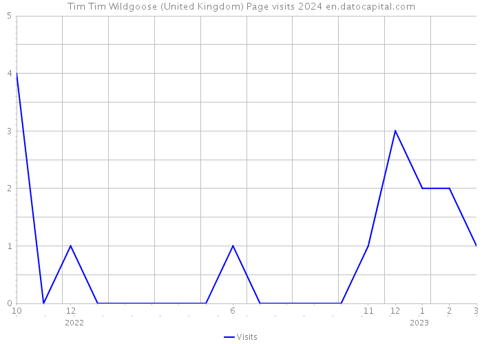 Tim Tim Wildgoose (United Kingdom) Page visits 2024 