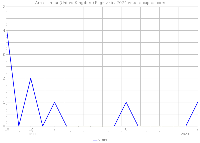 Amit Lamba (United Kingdom) Page visits 2024 