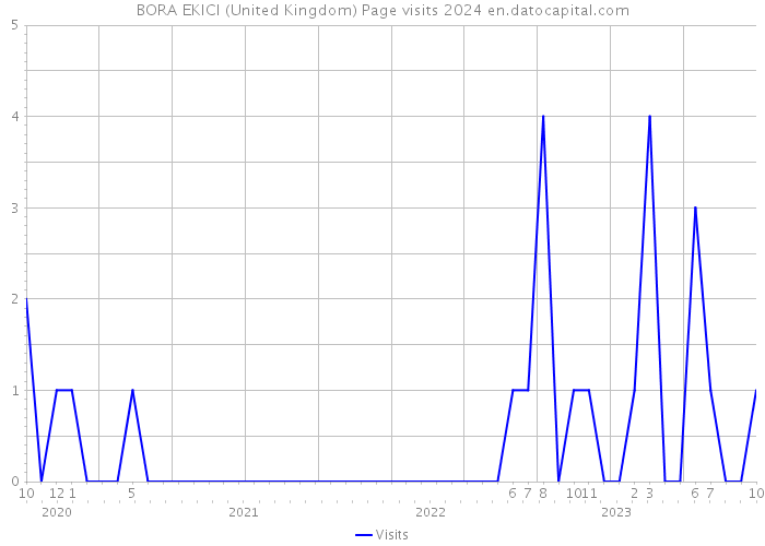 BORA EKICI (United Kingdom) Page visits 2024 