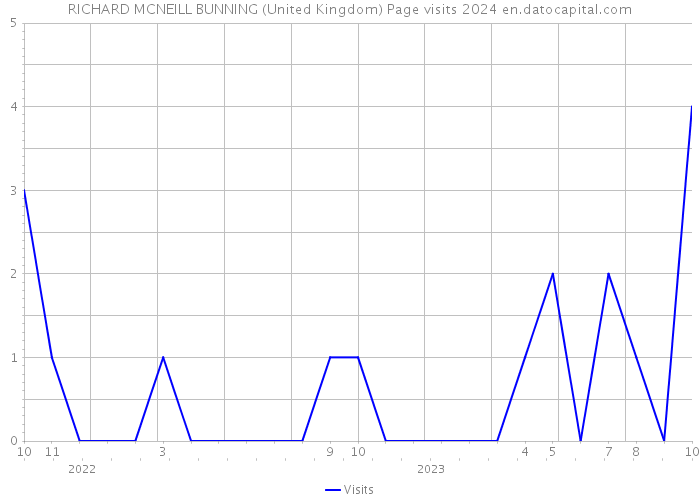 RICHARD MCNEILL BUNNING (United Kingdom) Page visits 2024 
