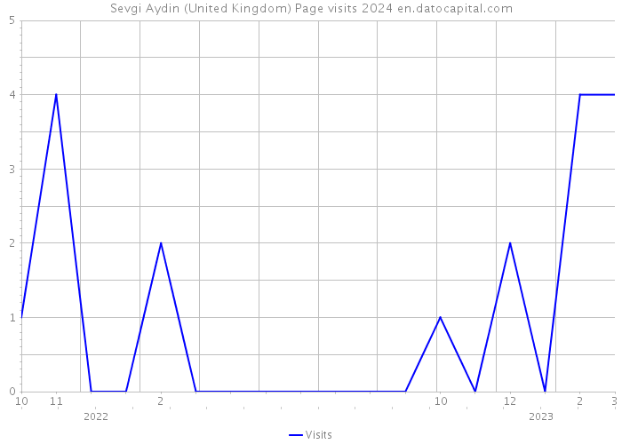 Sevgi Aydin (United Kingdom) Page visits 2024 