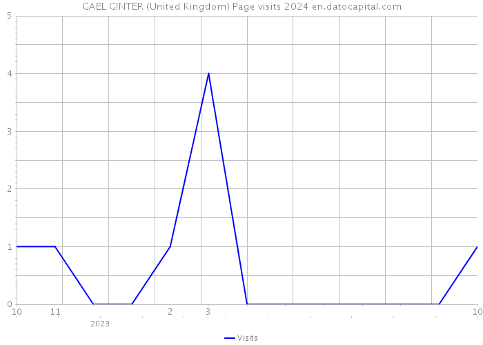 GAEL GINTER (United Kingdom) Page visits 2024 
