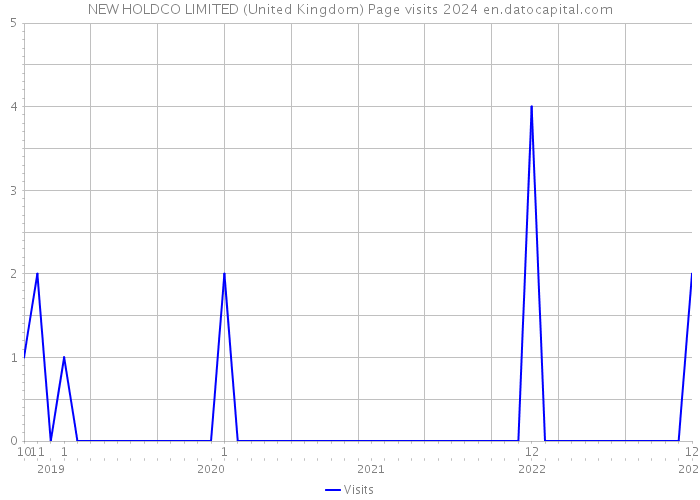 NEW HOLDCO LIMITED (United Kingdom) Page visits 2024 