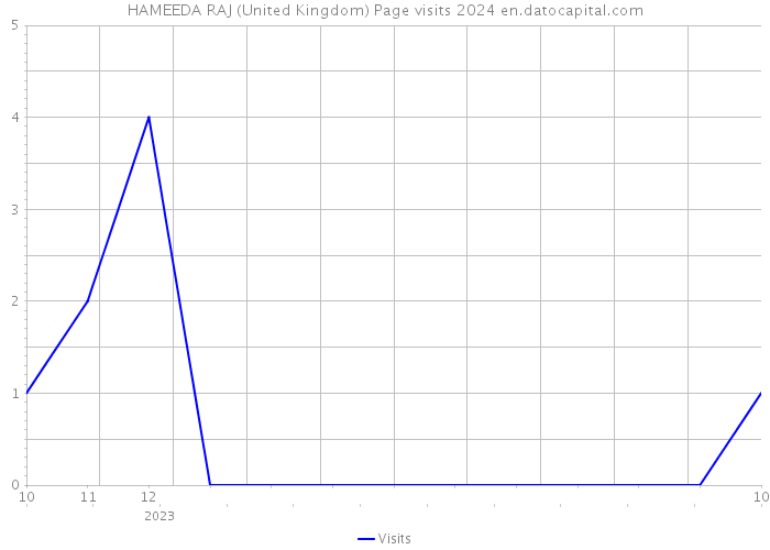 HAMEEDA RAJ (United Kingdom) Page visits 2024 