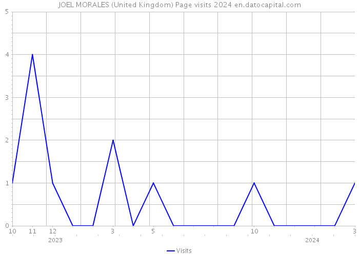 JOEL MORALES (United Kingdom) Page visits 2024 