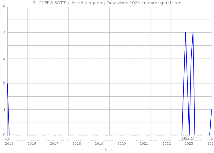RUGGERO BOTTI (United Kingdom) Page visits 2024 