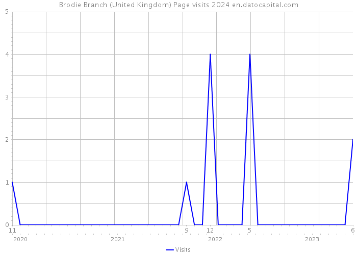 Brodie Branch (United Kingdom) Page visits 2024 