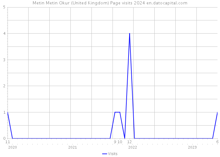 Metin Metin Okur (United Kingdom) Page visits 2024 