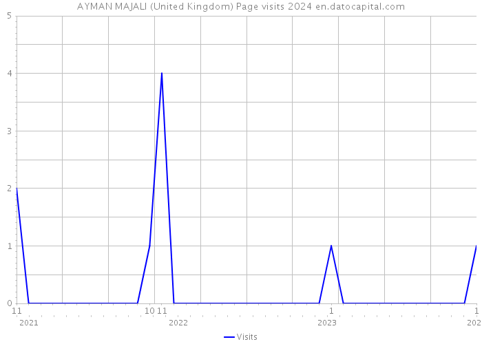 AYMAN MAJALI (United Kingdom) Page visits 2024 